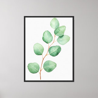 Silverbladig eucalyptus canvastryck