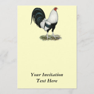 SilverDuckwing Gamecock Inbjudningar