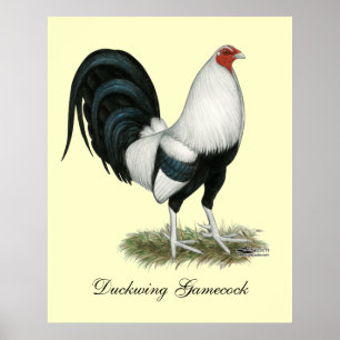 SilverDuckwing Gamecock Poster