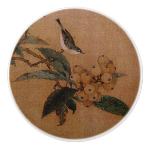 Silvereye-fågel med lokvat frukt, version 2 knopp