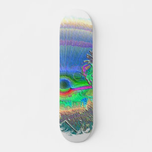 Silverlake Sunset Negativ Oval Skateboard Bräda 20 Cm