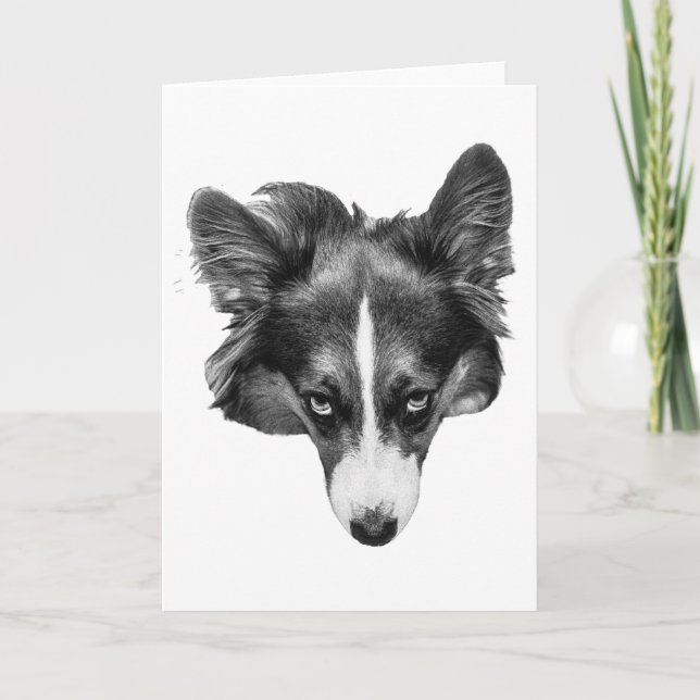 silverlight-kompanjon kort (Framsida)