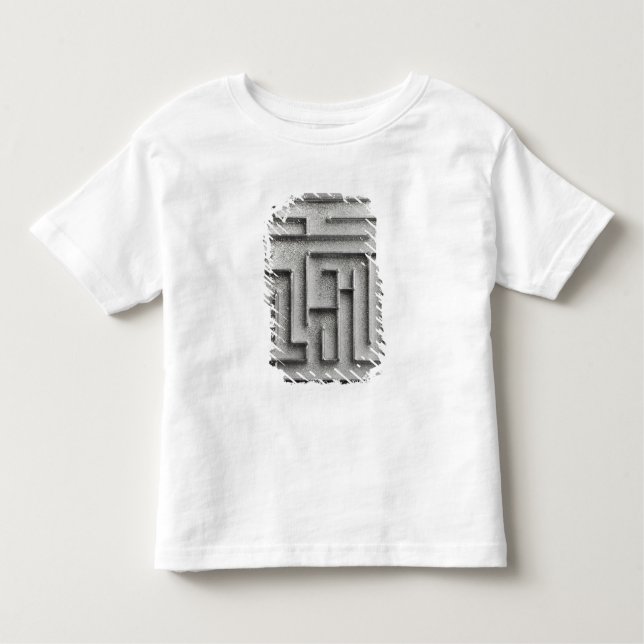 Silvermaze Tee Shirt (Framsida)