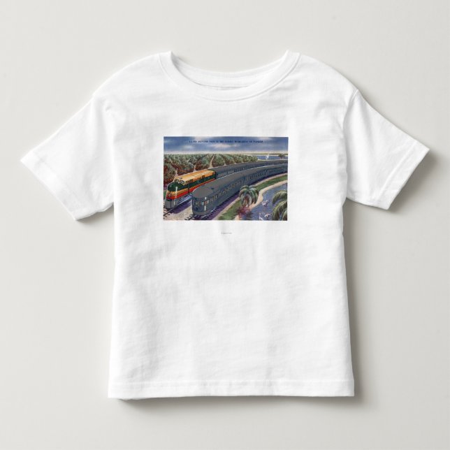 SilverMeteors "Seaboard" i Florida Skotska Tee Shirt (Framsida)