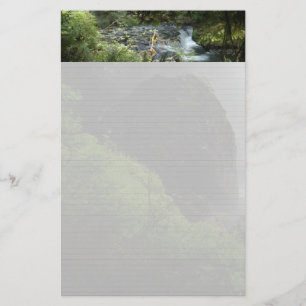 Silvernedgångar noterar papper