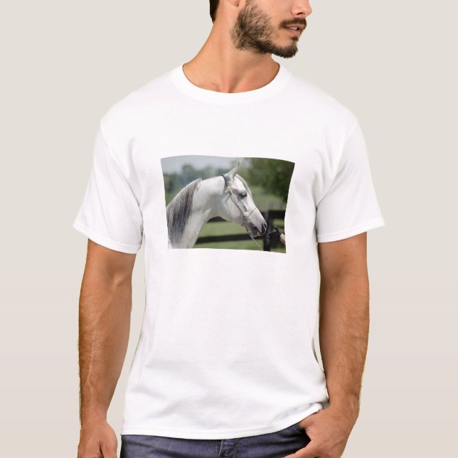 Silverstone Shamal Tee Shirt (Framsida)