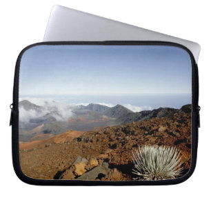 Silversword på Haleakala Crater kant från närhete Laptop Sleeve
