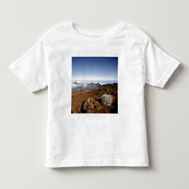 Silversword på Haleakala Crater  -kanten från närh Tee Shirt (Framsida)