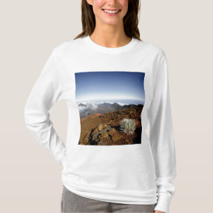 Silversword på Haleakala Crater-randen från närhet T-shirt