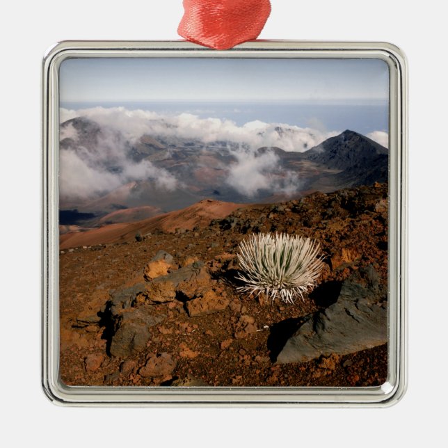 Silversword på Haleakala Crater Rim från nära 3 Julgransprydnad Metall (Framsidan)