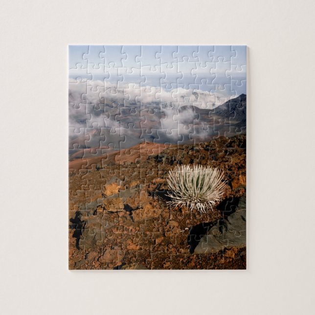 Silversword på Haleakala Crater Rim från nära 3 Pussel (Vertikal)