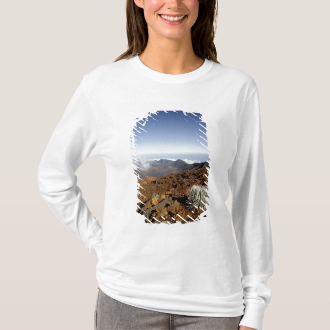 Silversword på Haleakala-kraterns kant från närhet Tee Shirt (Framsida)