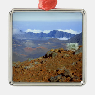 Silversword på Haleakala-kraterranden från nära 2 Julgransprydnad Metall
