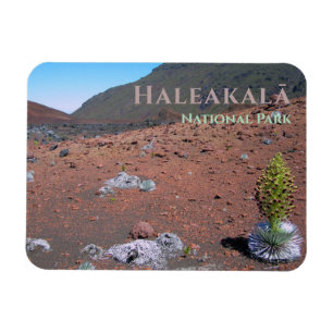 Silversword, Sand Dunes, Haleakalā National Park Magnet