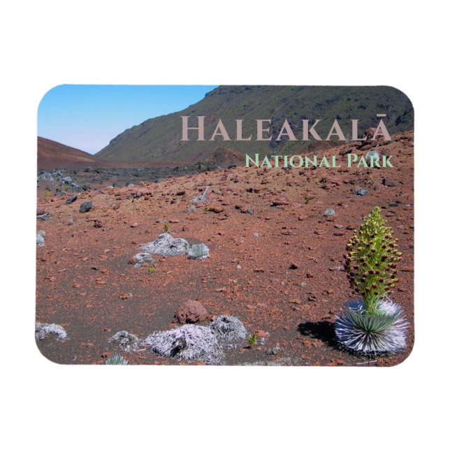 Silversword, Sand Dunes, Haleakalā National Park Magnet (Horisontell)
