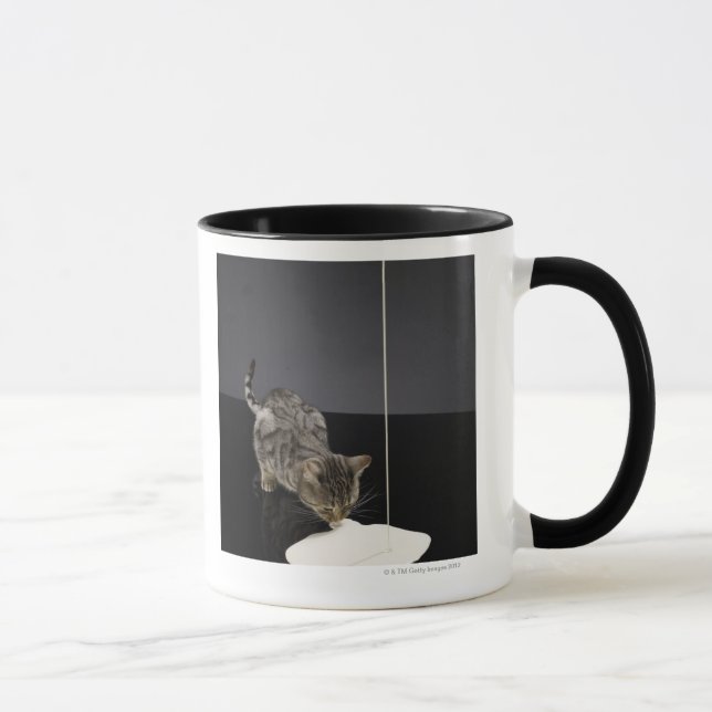 Silvertabby katt som dricker kräm från golv mugg (Höger)