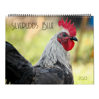 Silverudds Blue Chickens Kalender