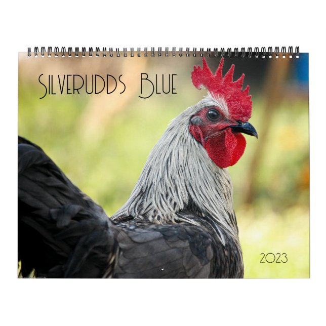 Silverudds Blue Chickens Kalender (Omslag)