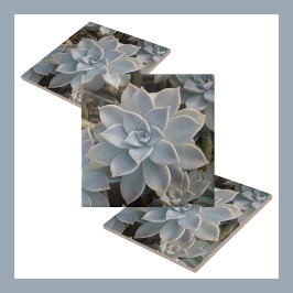Silvery Blue Succulents Botanical Natural Kakelplatta