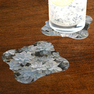 Silvery Blue Succulents Underlägg Papper