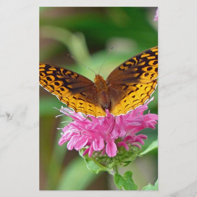 Silvery Checkerspot Butterfly Brevpapper (Framsida)