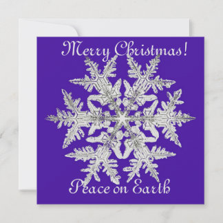 Silvery-julsnöflake på Bright Lila Julkort