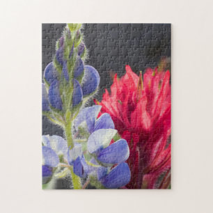 Silvery Lupine, Lavendel Penselblomma Pussel