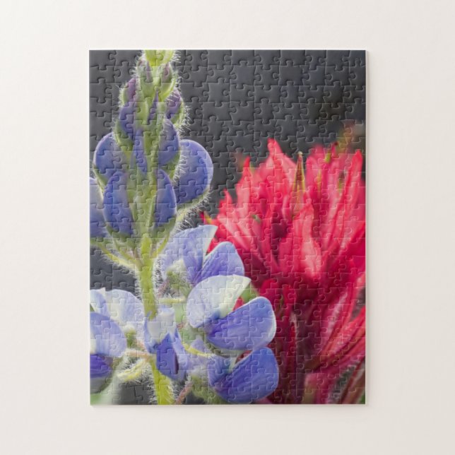 Silvery Lupine, Lavendel Penselblomma Pussel (Vertikal)
