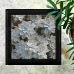 Silvery Succulents Bevackra Wooden Keepsaké Minnesask<br><div class="desc">Silvery blue och grönt Echeveria succulents with tiints of rosa and mörk shadows finns på denna vackra och elegant keepsaké-presentlåda för trä. Det är sofistikerat och vackert. Bilden är botaniskt originalfoto av JLW_PHOTOGRAPHY</div>