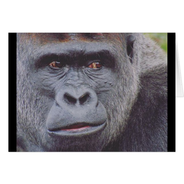 silvret hälsningskort (Framsidan Horizontal)