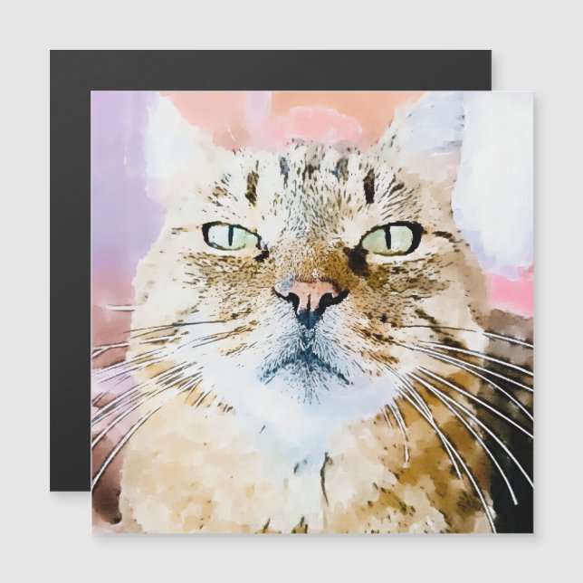 Simba the Striped King (Fram/baksida)