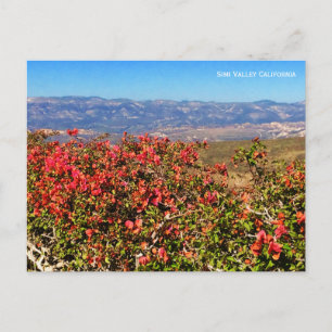 Simi Valley California Vykort
