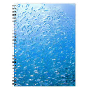 Simma för Cardinalfishes som är undervattens- Anteckningsbok Med Spiral