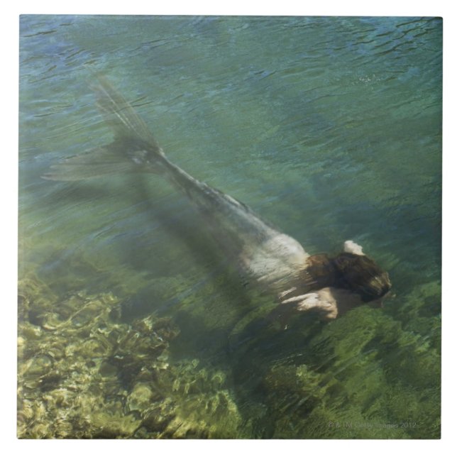 Simma för sjöjungfru som är undervattens- kakelplatta (Framsidan)