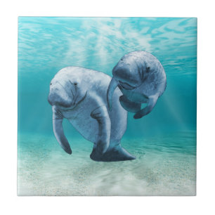 Simma för två Manatees Kakelplatta