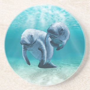 Simma för två Manatees Underlägg
