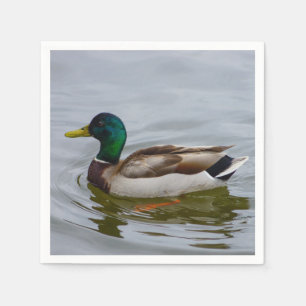 Simma Mallard Simma Pappersservett