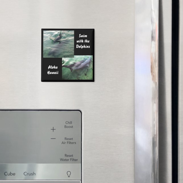 Simma med delfiner Hawaii Magnet (In Situ (Fridge))