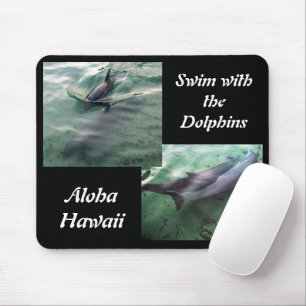 Simma med delfiner Hawaii Musmatta