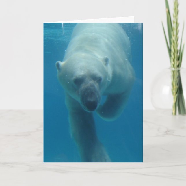 Simma Polar Bear Greeting Card Kort (Framsida)