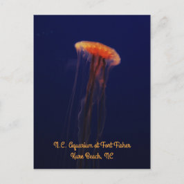 Simma snyggt vykort för Lodrät