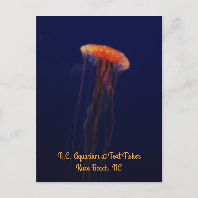 Simma snyggt vykort för Lodrät (Framsida)