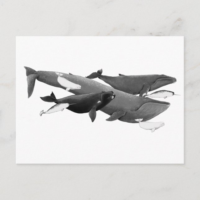 Simman av konsthandling vykort (Framsida)