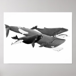 Simman valar som visar konsthälsa poster