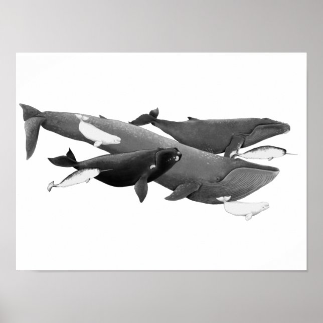 Simman valar som visar konsthälsa poster (Framsidan)