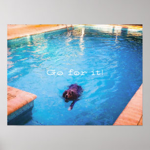 Simmande Hund Poster