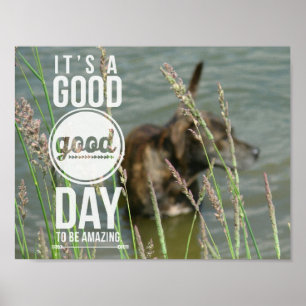Simmande Hund, Underbar dag Poster