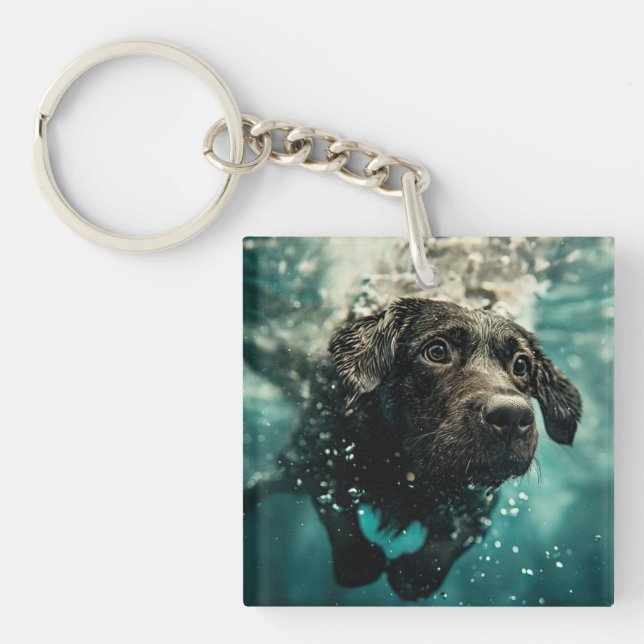 Simmande Labrador-valp Undervattensdesign (Framsidan)