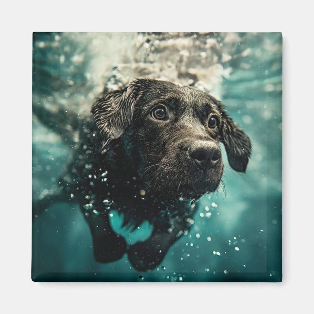Simmande Labrador-valp Undervattensdesign Magnet (Framsidan)