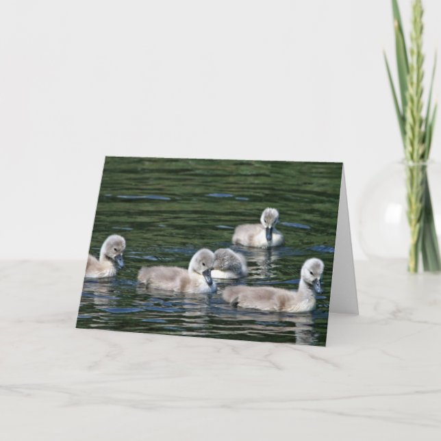 Simmans vänner kort (Framsida)